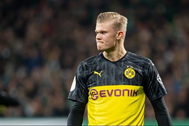 了裁判决策 了裁判决策