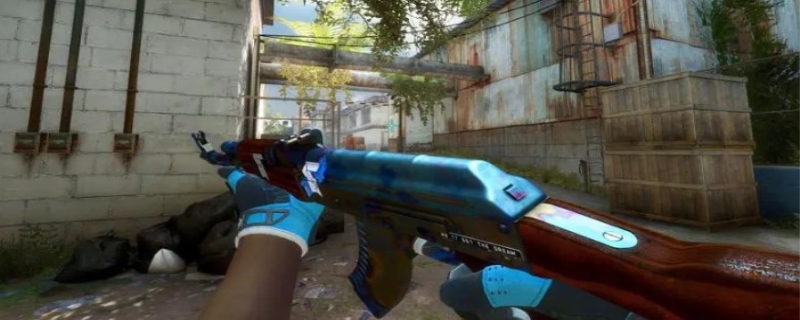 的漫长历史 的漫长历史