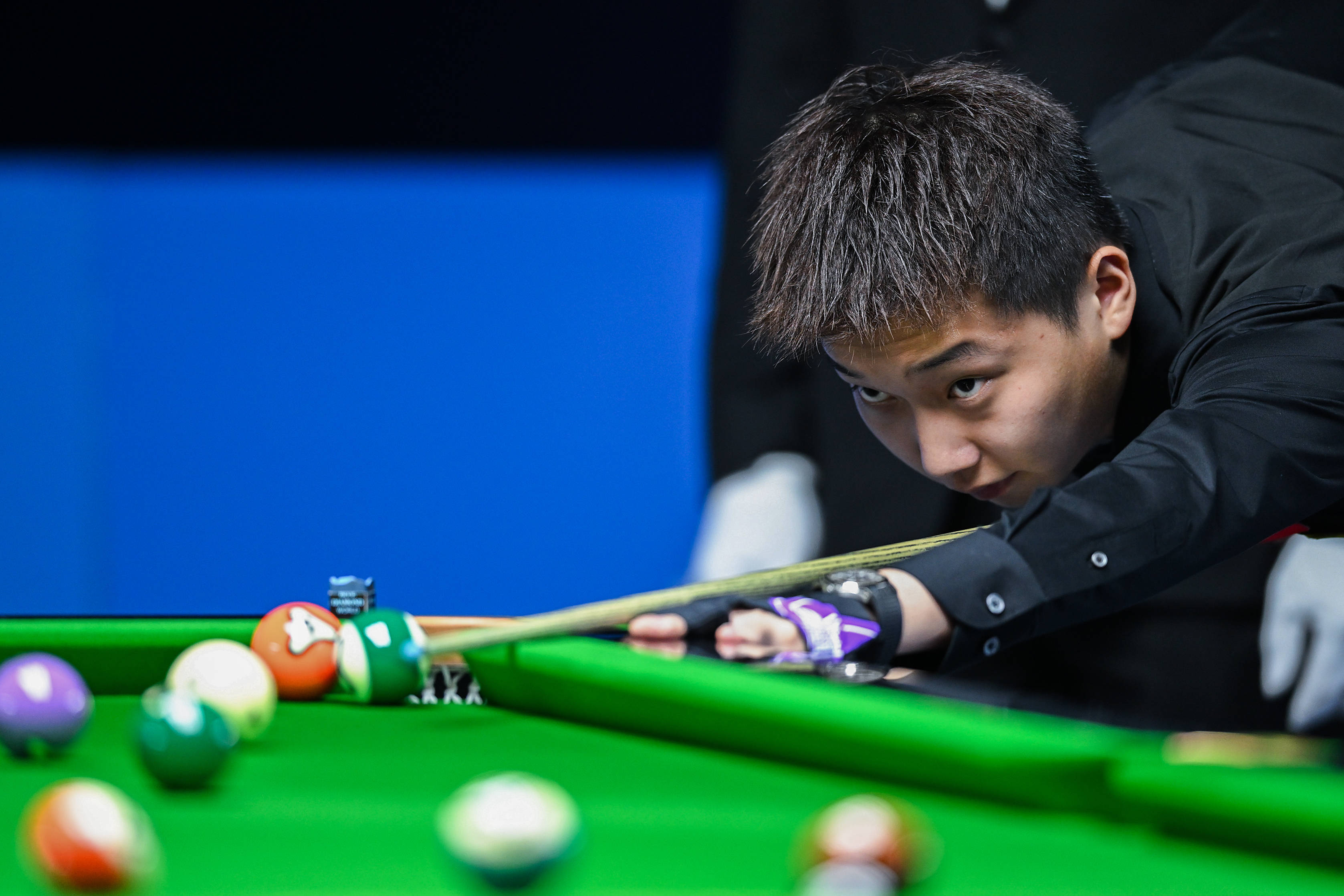 蒂为何选择 蒂为何选择